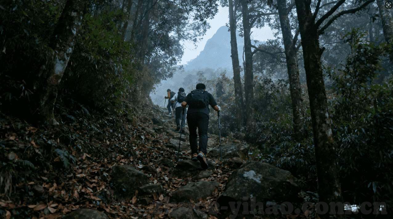 28体育官方入口-发现健康生活新途径，28体育官方入口带你领略体育魅力